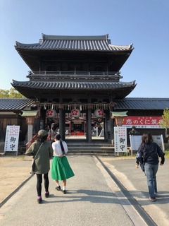 IMG_7307.jpg